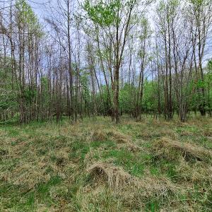 Photo #10 of Off Walnut Creek Lane , Danville, VA 126.0 acres