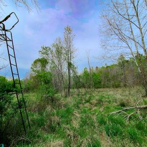 Photo #11 of Off Walnut Creek Lane , Danville, VA 126.0 acres