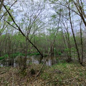 Photo #25 of Off Walnut Creek Lane , Danville, VA 126.0 acres