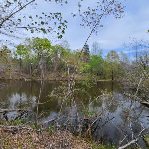 Photo #27 of Off Walnut Creek Lane , Danville, VA 126.0 acres