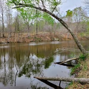 Photo #32 of Off Walnut Creek Lane , Danville, VA 126.0 acres
