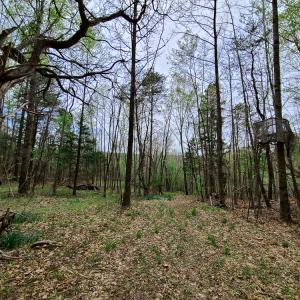 Photo #34 of Off Walnut Creek Lane , Danville, VA 126.0 acres