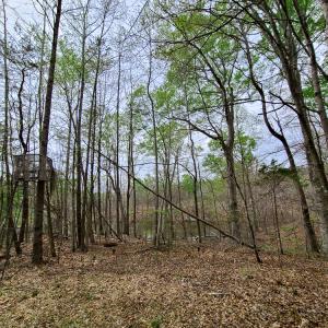 Photo #35 of Off Walnut Creek Lane , Danville, VA 126.0 acres