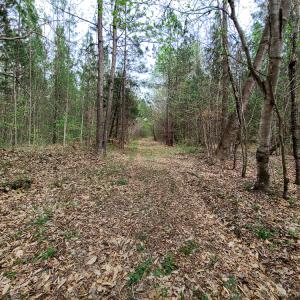 Photo #36 of Off Walnut Creek Lane , Danville, VA 126.0 acres
