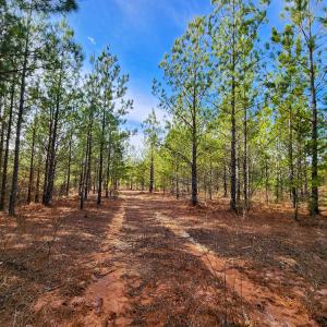 Photo #37 of Off Walnut Creek Lane , Danville, VA 126.0 acres