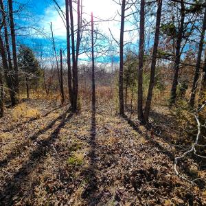 Photo #49 of Off Walnut Creek Lane , Danville, VA 126.0 acres