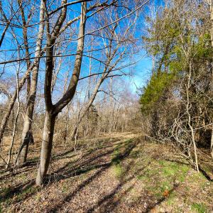 Photo #51 of Off Walnut Creek Lane , Danville, VA 126.0 acres