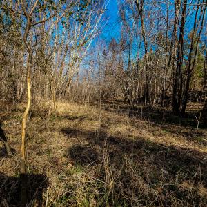 Photo #54 of Off Walnut Creek Lane , Danville, VA 126.0 acres