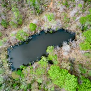 Photo #58 of Off Walnut Creek Lane , Danville, VA 126.0 acres