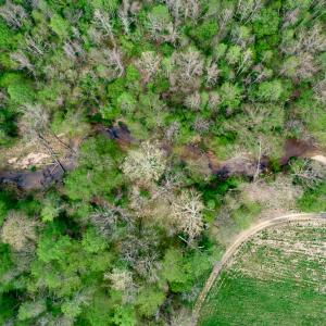 Photo #61 of Off Walnut Creek Lane , Danville, VA 126.0 acres