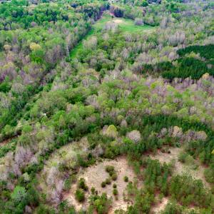 Photo #65 of Off Walnut Creek Lane , Danville, VA 126.0 acres