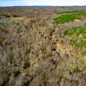 Photo #76 of Off Walnut Creek Lane , Danville, VA 126.0 acres