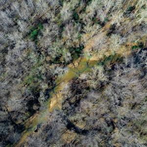 Photo #77 of Off Walnut Creek Lane , Danville, VA 126.0 acres