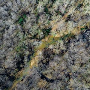 Photo #4 of SOLD property in Off Azalea Lane , Danville, VA 33.0 acres
