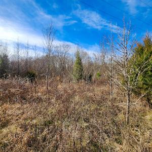 Photo #9 of SOLD property in Off Azalea Lane , Danville, VA 33.0 acres