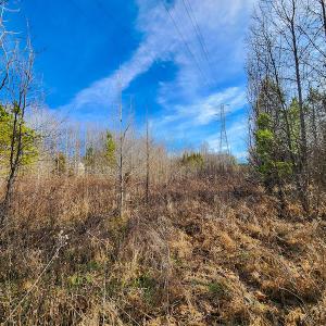 Photo #10 of SOLD property in Off Azalea Lane , Danville, VA 33.0 acres