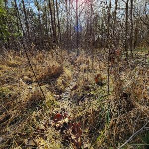 Photo #11 of SOLD property in Off Azalea Lane , Danville, VA 33.0 acres