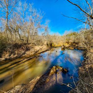 Photo #13 of SOLD property in Off Azalea Lane , Danville, VA 33.0 acres