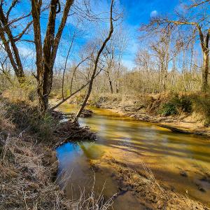 Photo #14 of SOLD property in Off Azalea Lane , Danville, VA 33.0 acres