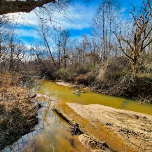 Photo #15 of SOLD property in Off Azalea Lane , Danville, VA 33.0 acres
