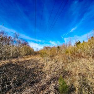 Photo #16 of SOLD property in Off Azalea Lane , Danville, VA 33.0 acres