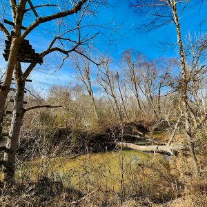 Photo #19 of SOLD property in Off Azalea Lane , Danville, VA 33.0 acres