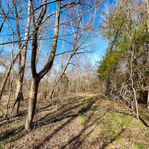 Photo #20 of SOLD property in Off Azalea Lane , Danville, VA 33.0 acres