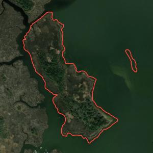 Photo #1 of SOLD property in Off Hog Quarter Road, Powells Point, NC 37.2 acres