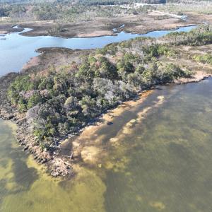 Photo #4 of SOLD property in Off Hog Quarter Road, Powells Point, NC 37.2 acres