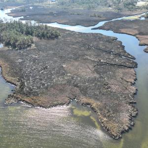 Photo #5 of SOLD property in Off Hog Quarter Road, Powells Point, NC 37.2 acres