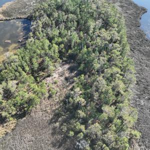 Photo #6 of SOLD property in Off Hog Quarter Road, Powells Point, NC 37.2 acres