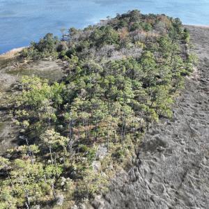 Photo #9 of SOLD property in Off Hog Quarter Road, Powells Point, NC 37.2 acres