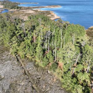 Photo #10 of SOLD property in Off Hog Quarter Road, Powells Point, NC 37.2 acres