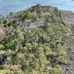 Photo #11 of SOLD property in Off Hog Quarter Road, Powells Point, NC 37.2 acres