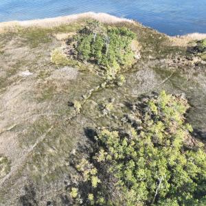 Photo #12 of SOLD property in Off Hog Quarter Road, Powells Point, NC 37.2 acres