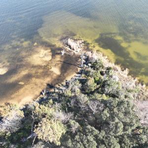 Photo #13 of SOLD property in Off Hog Quarter Road, Powells Point, NC 37.2 acres