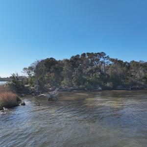 Photo #15 of SOLD property in Off Hog Quarter Road, Powells Point, NC 37.2 acres
