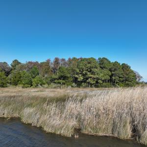 Photo #16 of SOLD property in Off Hog Quarter Road, Powells Point, NC 37.2 acres