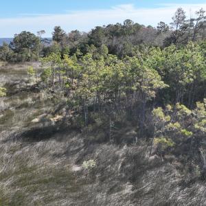 Photo #20 of SOLD property in Off Hog Quarter Road, Powells Point, NC 37.2 acres