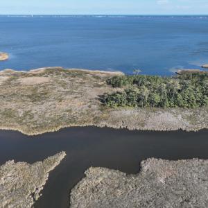 Photo #23 of SOLD property in Off Hog Quarter Road, Powells Point, NC 37.2 acres
