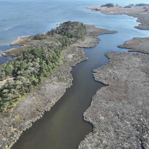 Photo #24 of SOLD property in Off Hog Quarter Road, Powells Point, NC 37.2 acres
