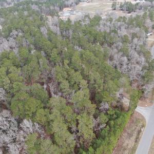 Photo #5 of 1620 Jonestown Road, Galivants Ferry, SC 20.0 acres