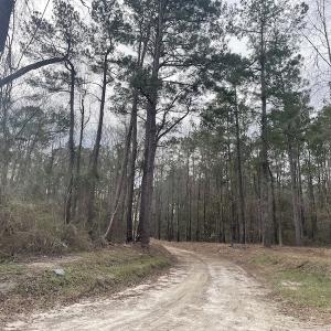 Photo #7 of 1620 Jonestown Road, Galivants Ferry, SC 20.0 acres
