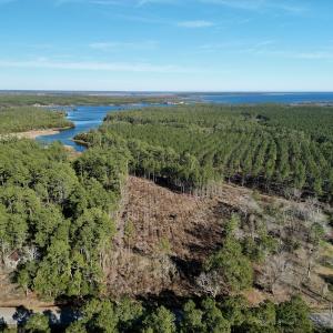 Photo #2 of SOLD property in Off Upper Neck Rd, Bayboro, NC 6.9 acres