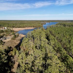 Photo #11 of SOLD property in Off Upper Neck Rd, Bayboro, NC 6.9 acres