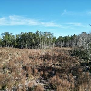 Photo #12 of SOLD property in Off Upper Neck Rd, Bayboro, NC 6.9 acres