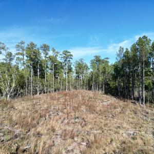Photo #15 of SOLD property in Off Upper Neck Rd, Bayboro, NC 6.9 acres