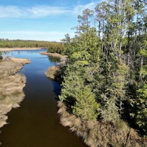 Photo #16 of SOLD property in Off Upper Neck Rd, Bayboro, NC 6.9 acres