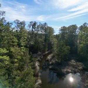 Photo #17 of SOLD property in Off Upper Neck Rd, Bayboro, NC 6.9 acres