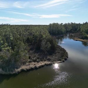 Photo #19 of SOLD property in Off Upper Neck Rd, Bayboro, NC 6.9 acres